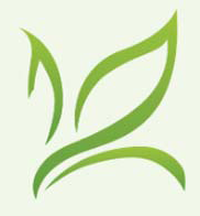 legacy icon